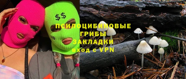 спиды Алзамай