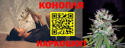 соль ск Новодвинск