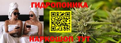 тгк Новозыбков