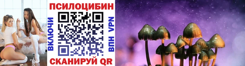 Псилоцибиновые грибы GOLDEN TEACHER  гидра зеркало  Татарск 