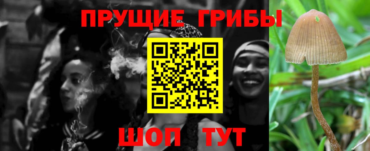 Галлюциногенные грибы Psilocybe  Псилоцибиновые грибы мухоморы  Татарск  Вход с VPN 